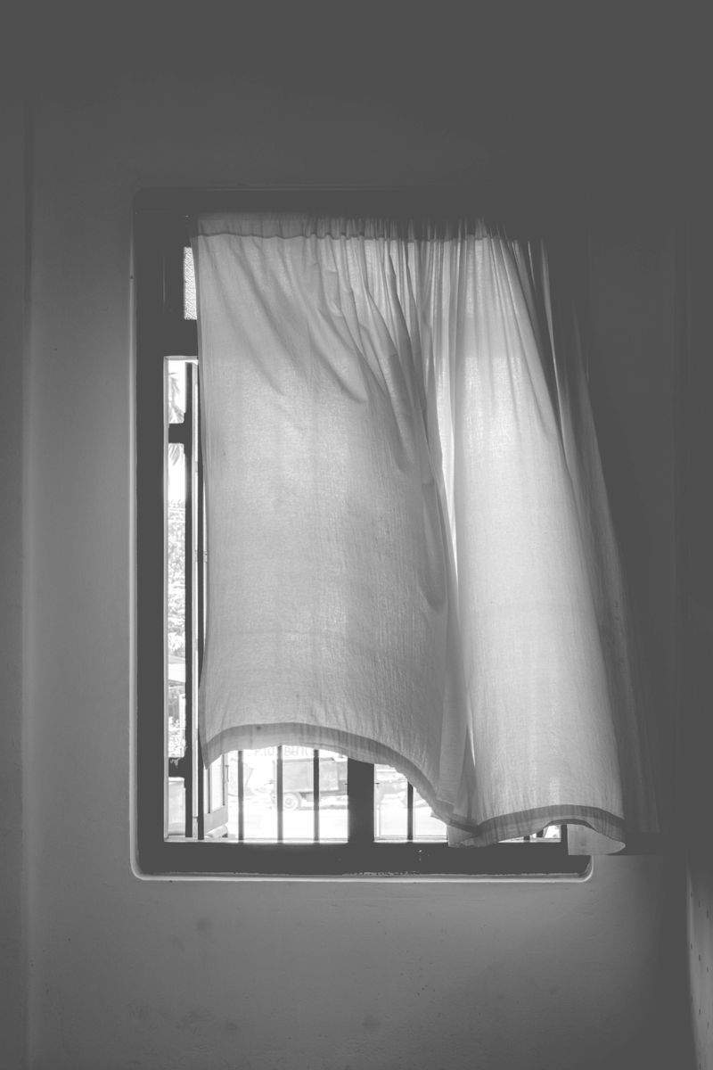 Nordic Gardiner - Image 8